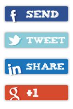 Figure 5 StatPro custom share buttons